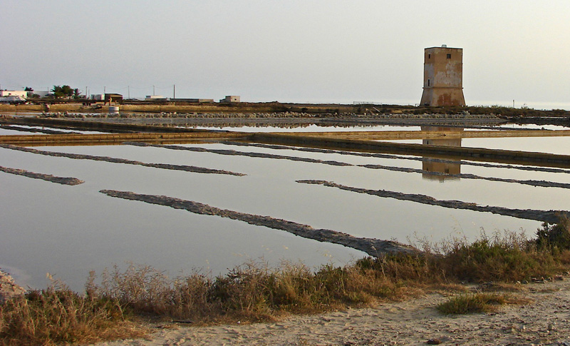 Saline
