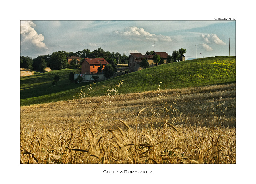 Collina Romagnola