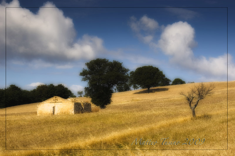 Fattoria
