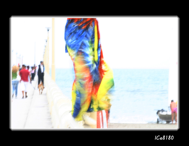 true colors