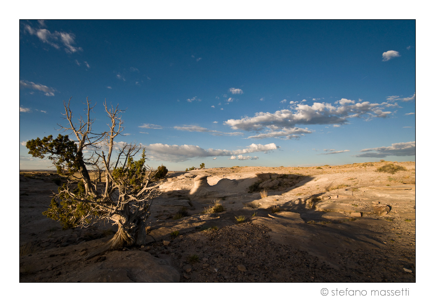 painted desert at sunset