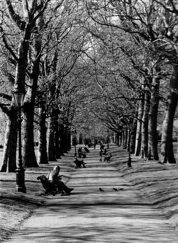 Green Park, London.