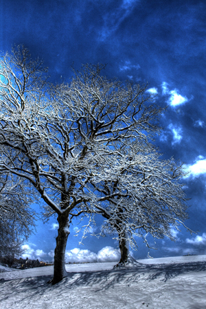 L'inverno