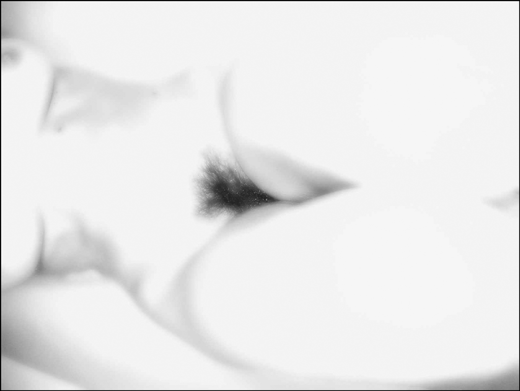 H.Key 03