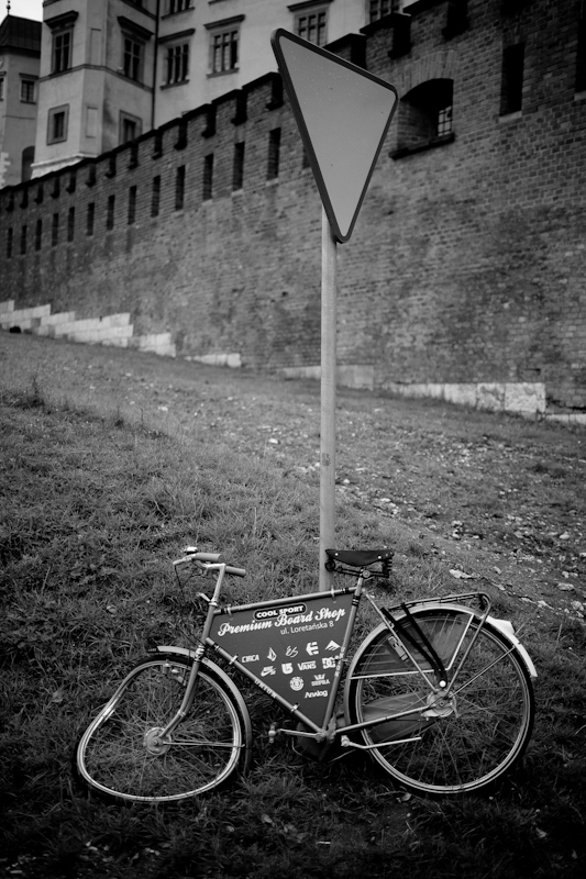 bicicletta di Dal