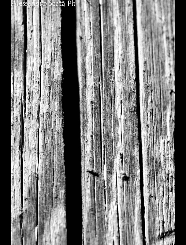 Wood