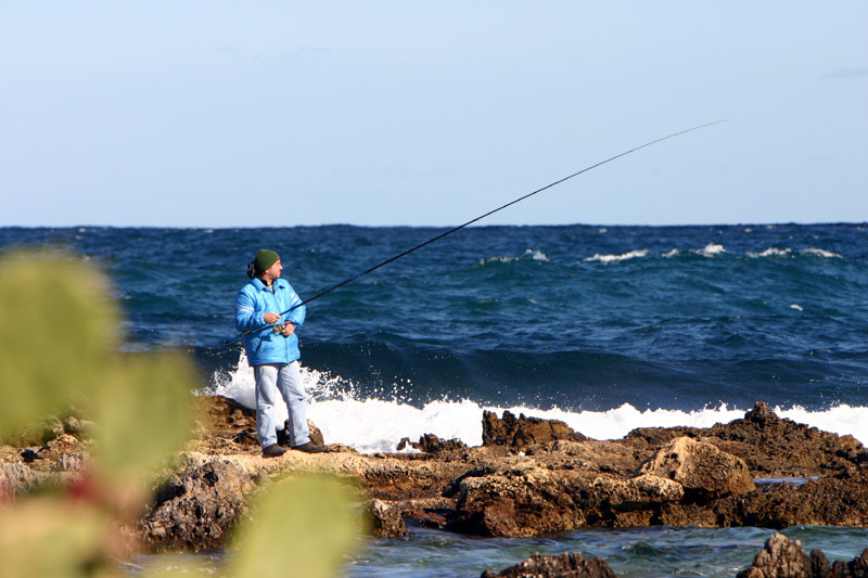 L'arte della pesca
