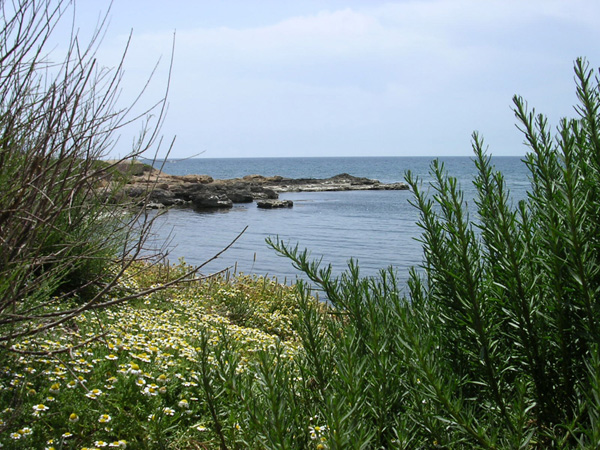 Cornice naturale