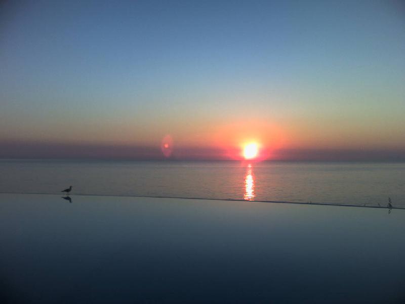 alba