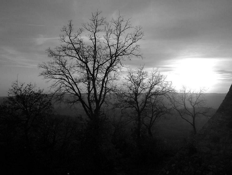 Maledetta maliconia d'autunno