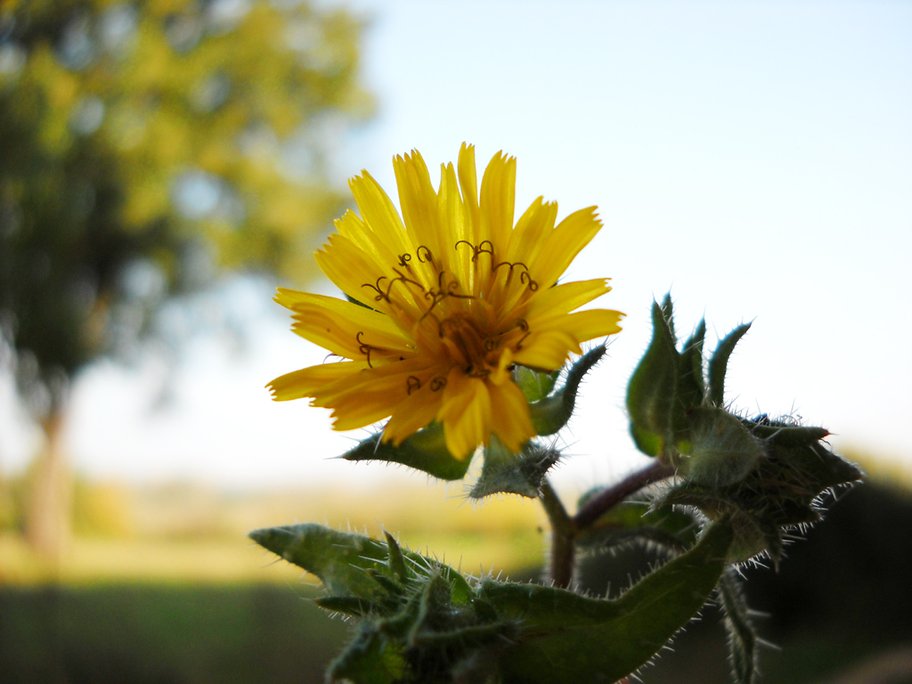 TEST nikon L19