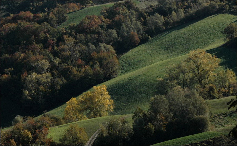 terramia