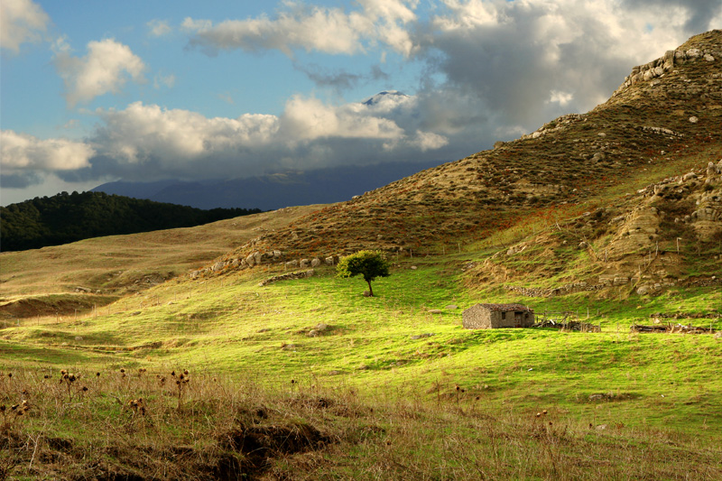 Paesaggio