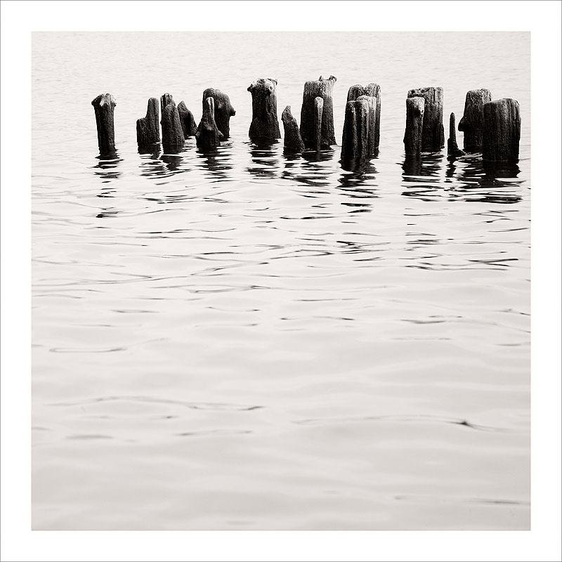 molo-01