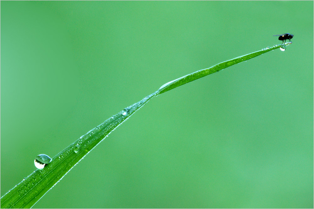 Equilibri Naturali