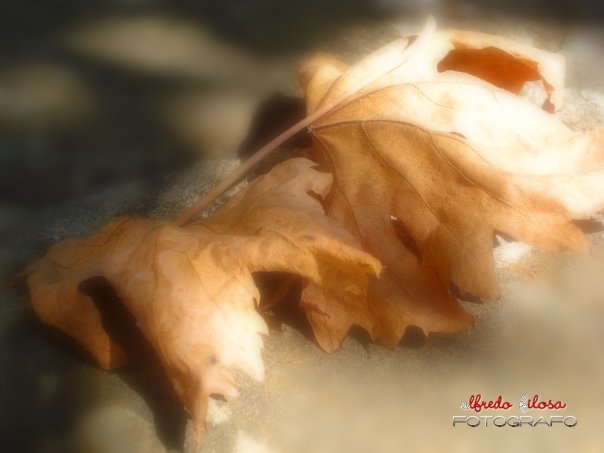 L'Autunno...