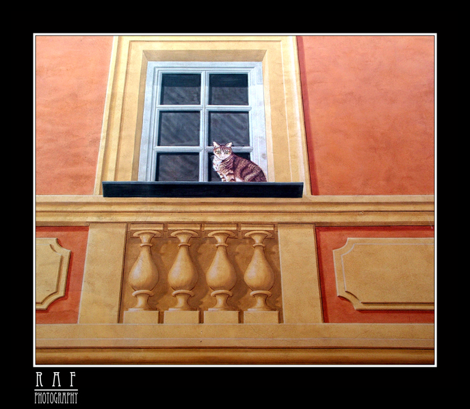 Murales