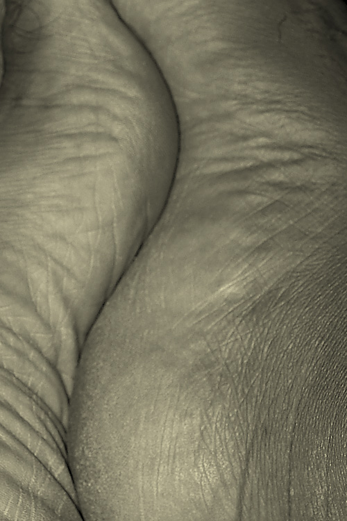 Fit nude feet