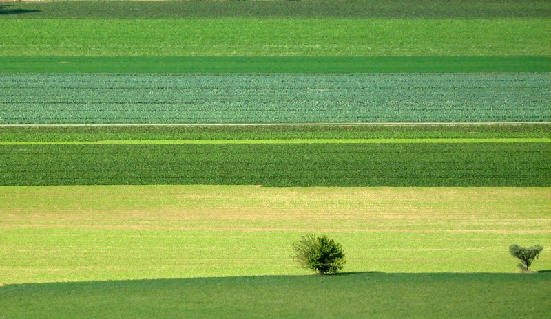 Campo di Corridonia