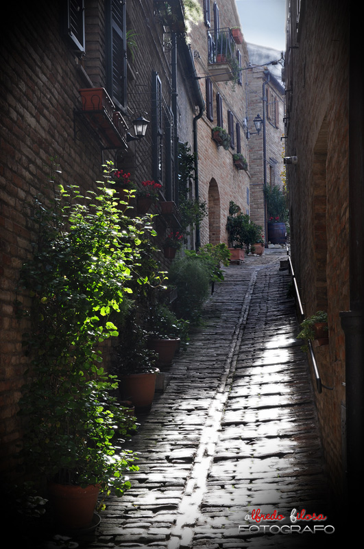 Tagli di Luce