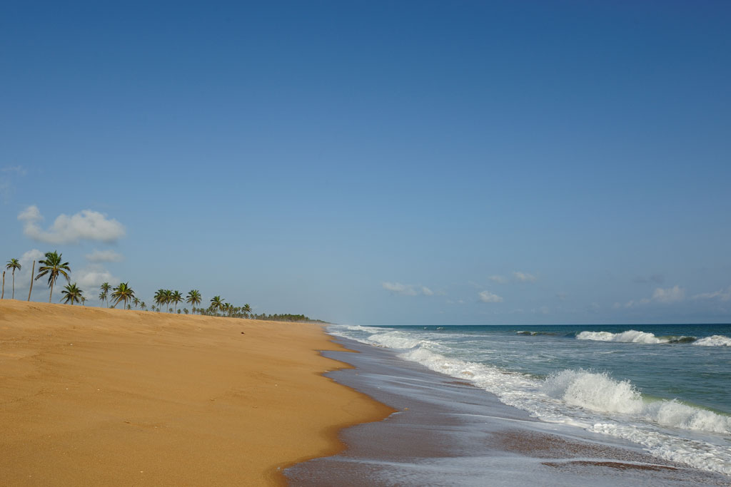 On the ocean beach
