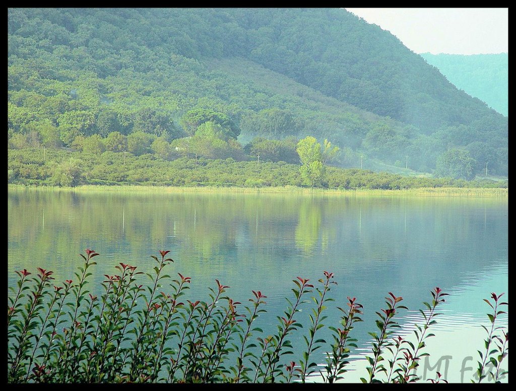 Tranquillit