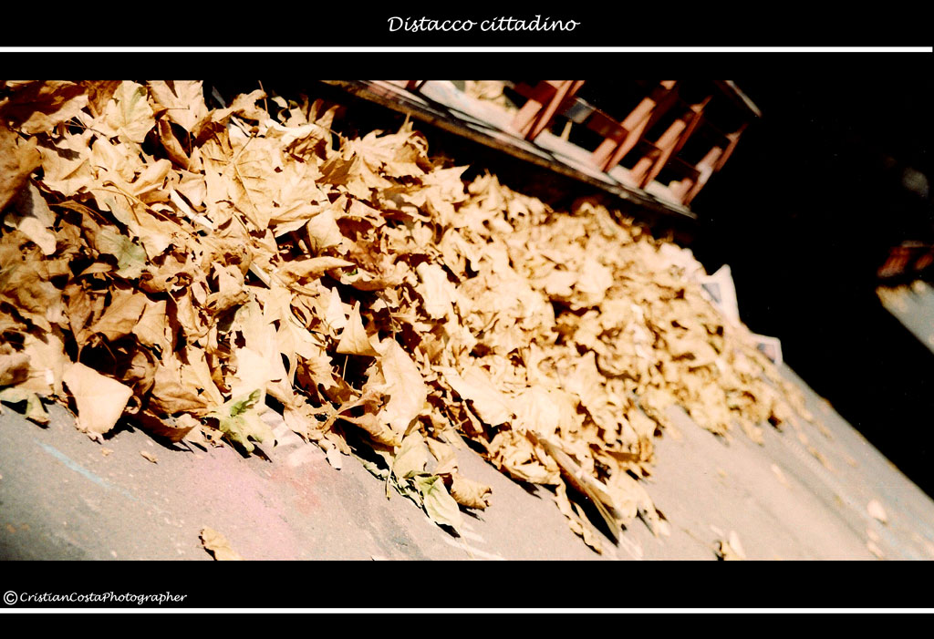 Distacco Cittadino