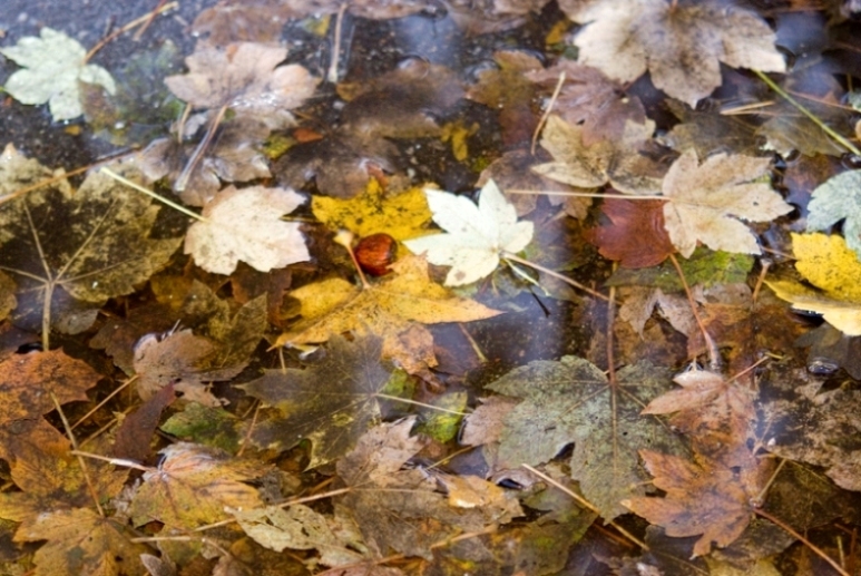 autunno