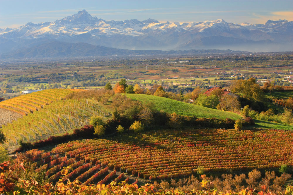 Magiche Langhe