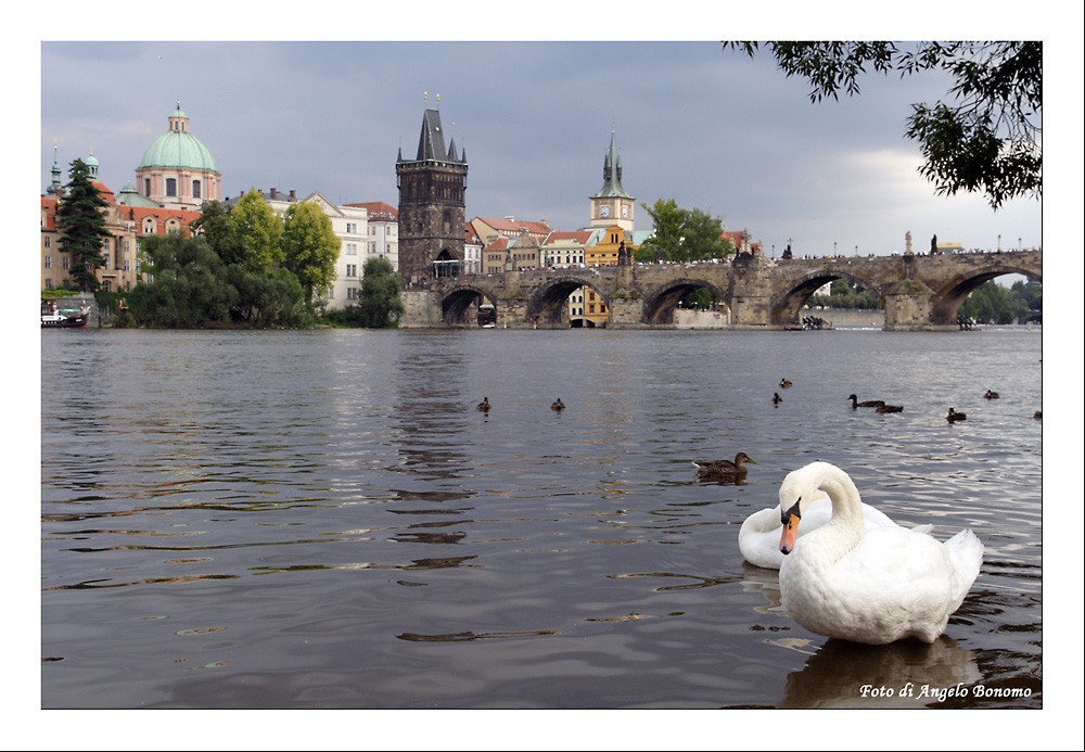 Praga 2009 - foto 2