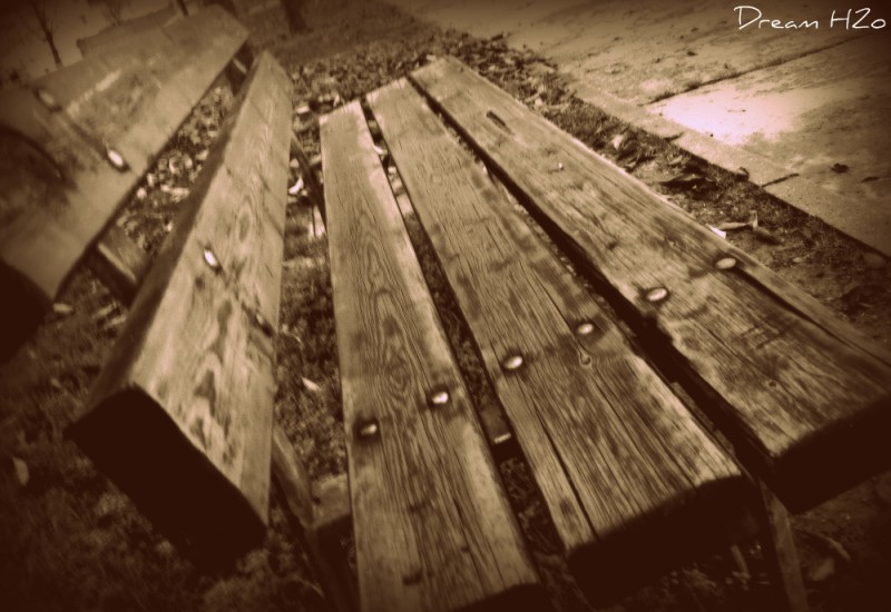 Legno