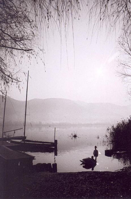 Alba al lago