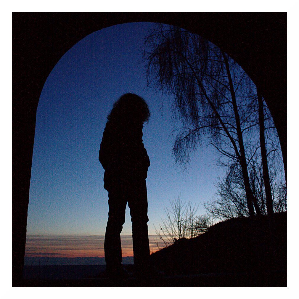Ammirando il tramonto n6