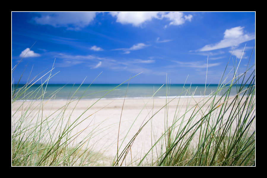Utah Beach