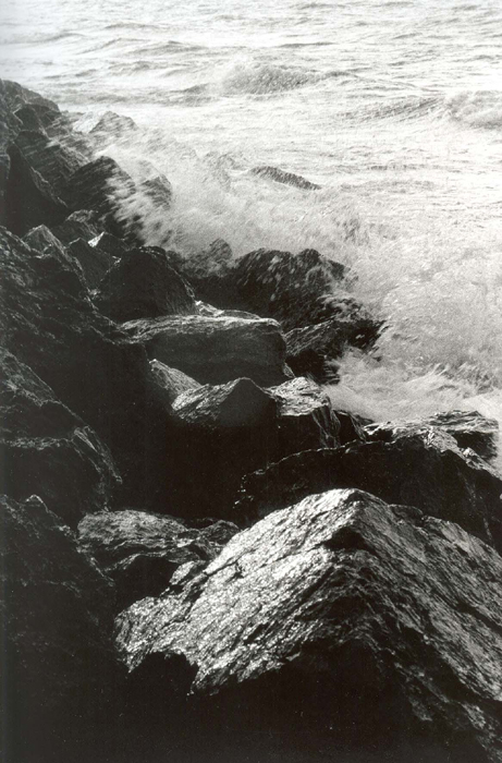 Onde su scogli