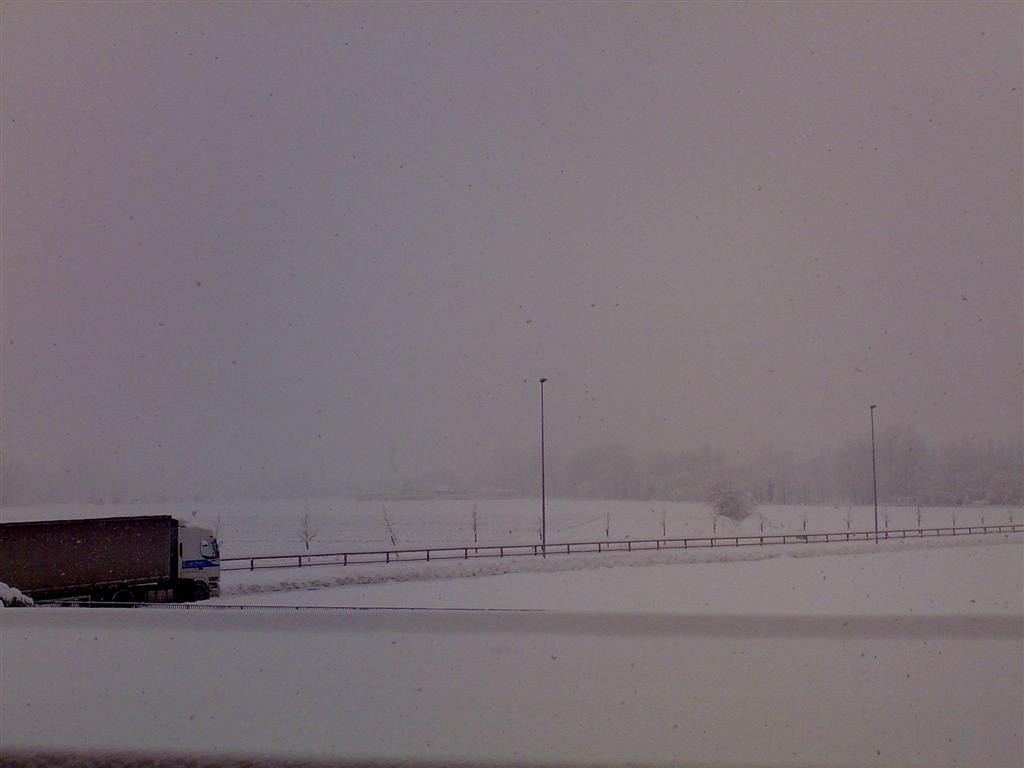 neve
