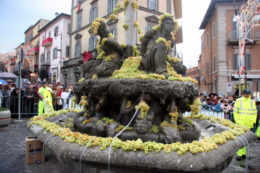 prova