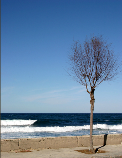 Aspettando la primavera