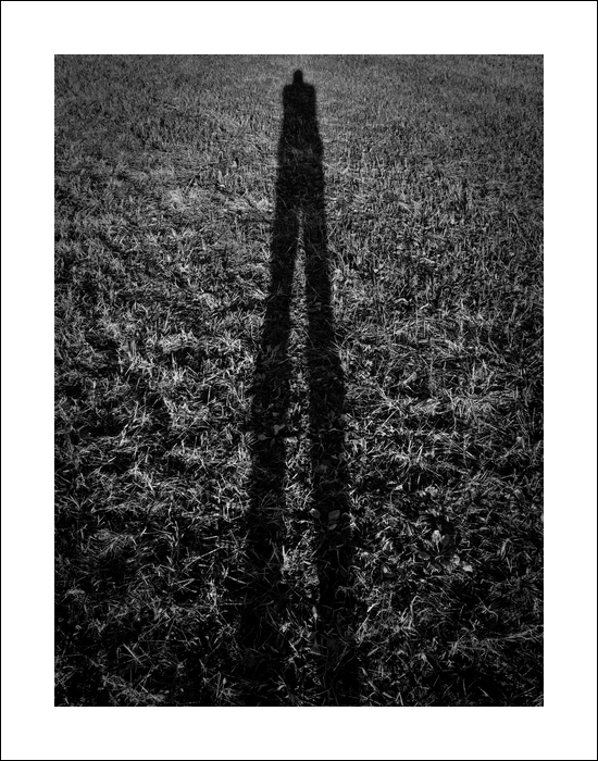 self