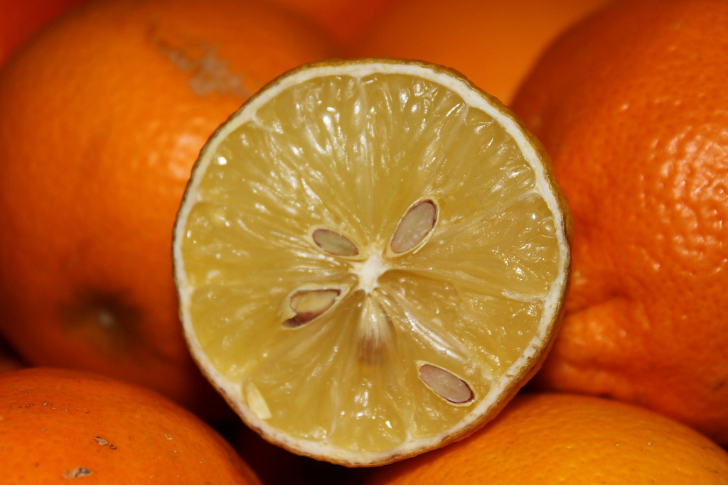 Lemon