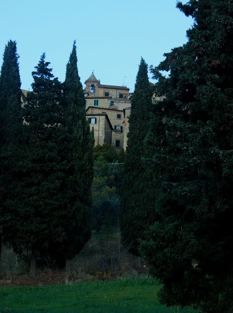 Casale M.mo