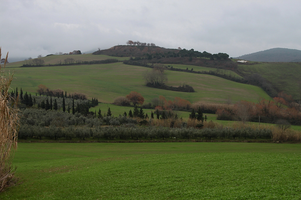 Colline Guardistallo