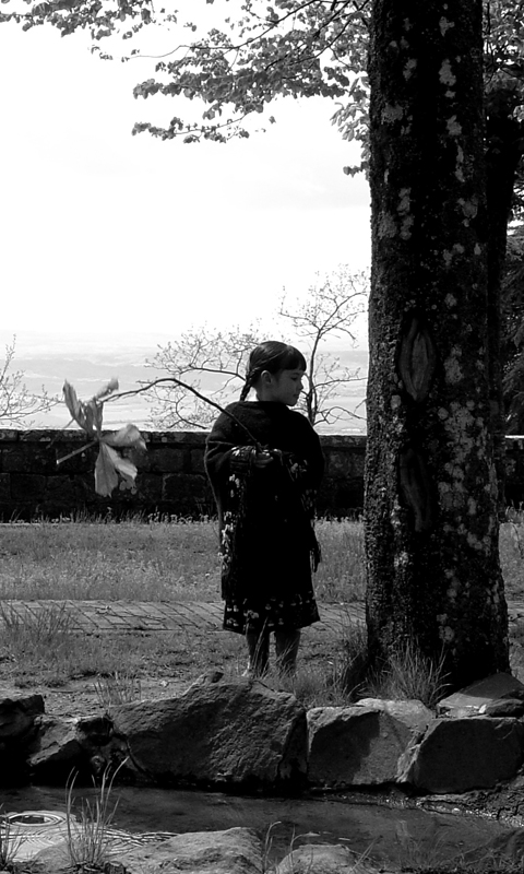 Bambina e albero