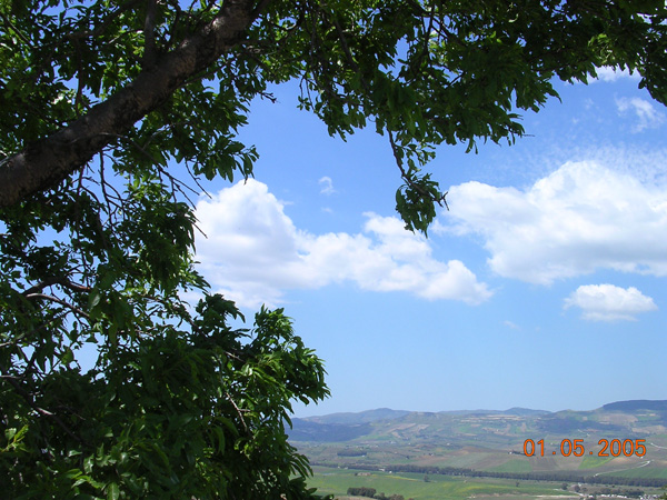 Cornice naturale