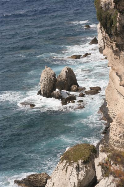 Bonifacio
