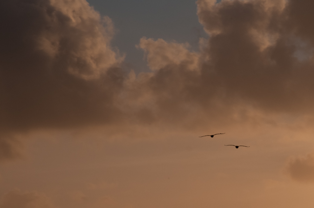 Sunset 4
