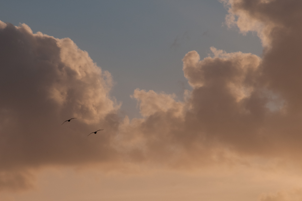 Sunset 5