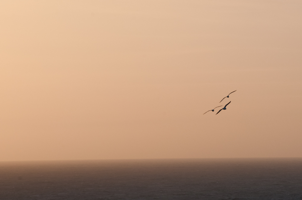 Sunset 8