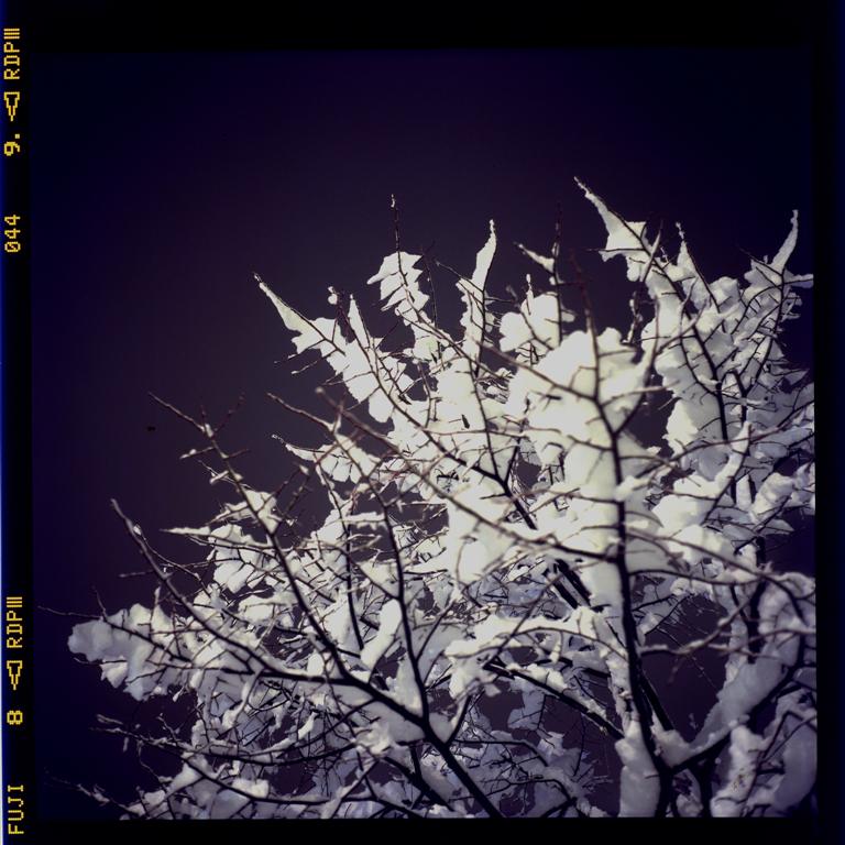 neve dicembre 2009