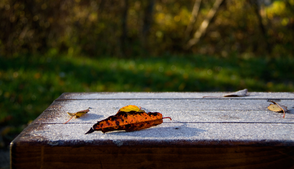 Autunno